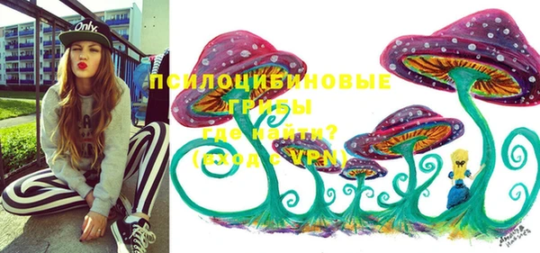 прущие крисы Абаза