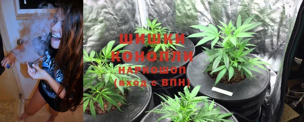 ешки Пересвет