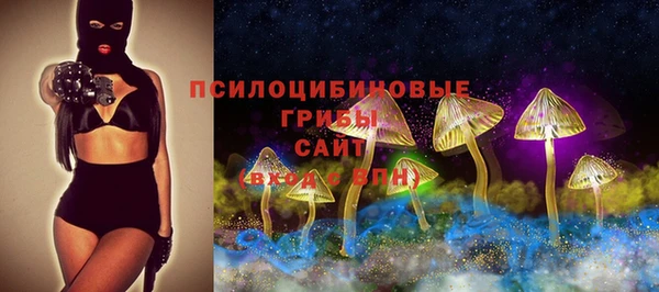 прущая мука Переславль-Залесский